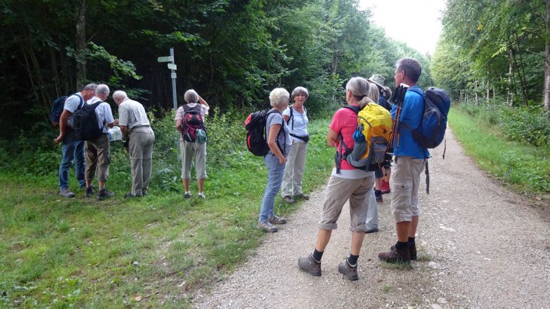 Vulkansee-Weg_100818_006