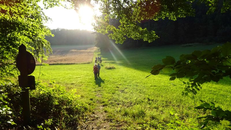 Abend-Wanderung_070820_008