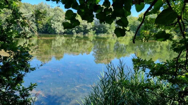 Egelsee-Wanderung_110823_030